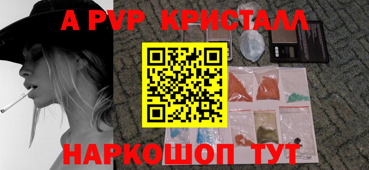 A PVP СК КРИС Сыктывкар