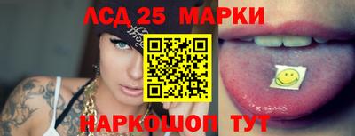 мяу мяу мука Тара