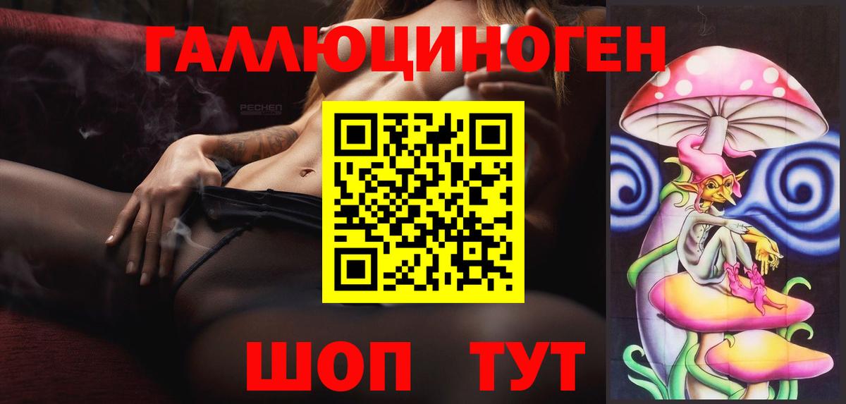 Псилоцибиновые грибы Cubensis Сыктывкар