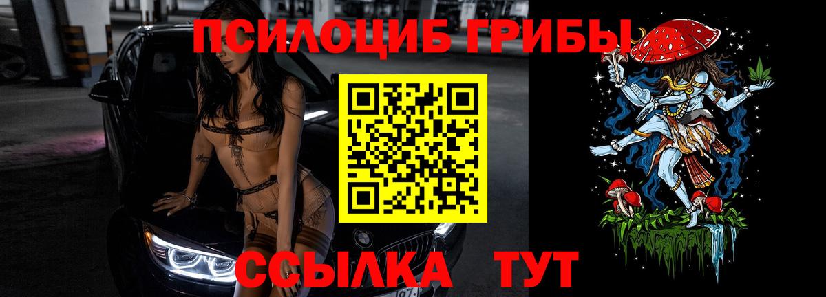 Псилоцибиновые грибы Psilocybe  Вход с VPN  Сыктывкар 
